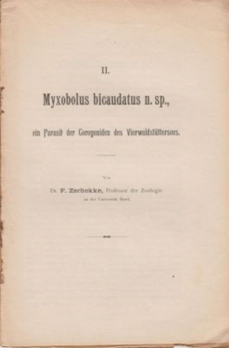 Myxobolus bicaudatus n. sp., ein Parasit der Coregoniden des Vierwaldstattersees