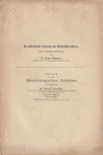 Die individuelle Variation des Wirbelthierembryo