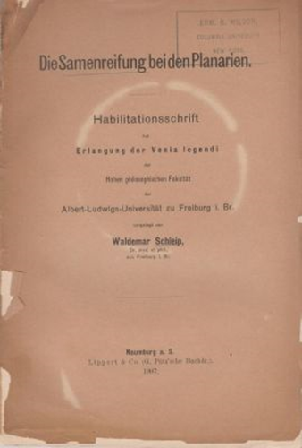 Die Samenreifung be den Planarien