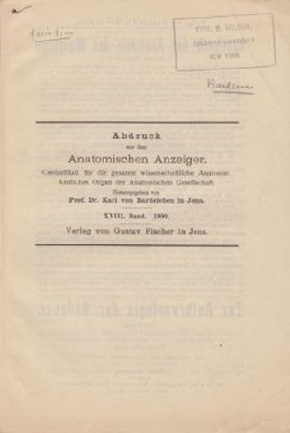 Costo-Vertebral Variation in Man