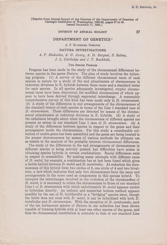 Datura Investigations: The Species Problem