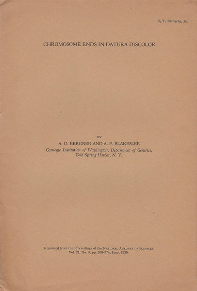 Chromosome Ends in Datura Discolor