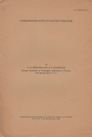 Chromosome Ends in Datura Discolor