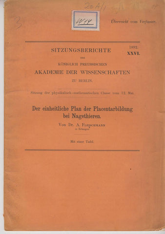 Der einheitliche Plan der Placentarbildung bei Nagethieren