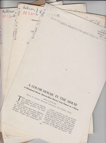 A Group of 5 offprints by Cancer Researcher John J. Bittner including 4 on Genetic Studies on the Transplantation of Tumors