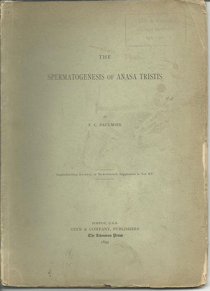 The Spermatogenesis of Anasa Tristis