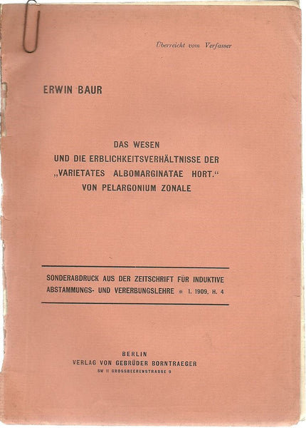 4 Erwin Baur offprints with envelope containing 7 original photographs of plants marked Baur