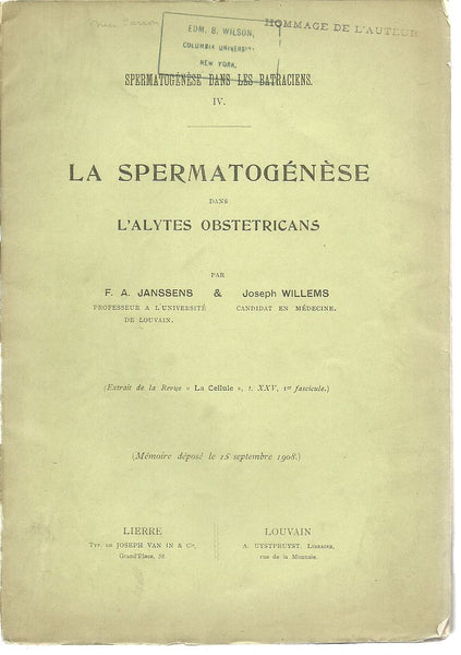 Spermatogenese Dans Les Batraciens IV. La Spermatogenese Dans L'Alytes Obstetricans