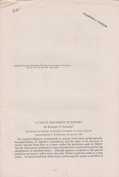 A Case Of Polyploidy In Diptera