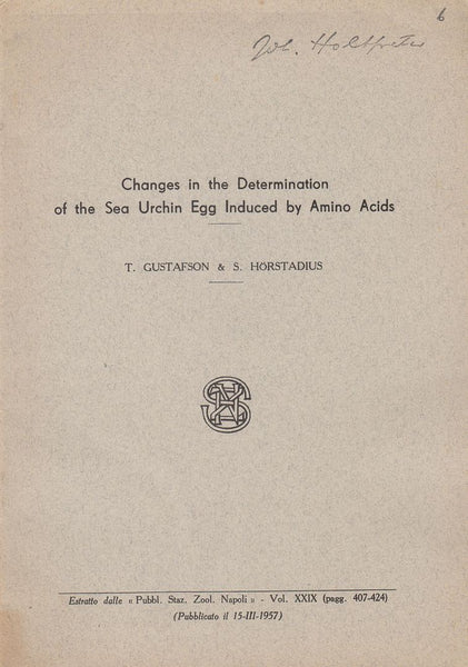 Changes in the Determination of the Sea Urchin Egg Induced by Amino Acids