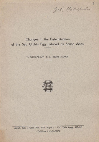 Changes in the Determination of the Sea Urchin Egg Induced by Amino Acids