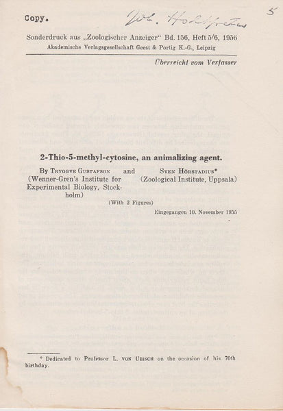 2-Thio-5-methyl-cytosine, an animalizing agent.