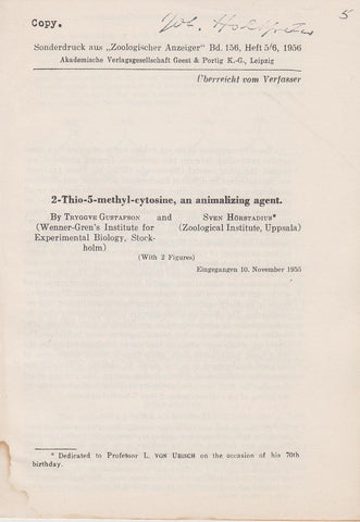 2-Thio-5-methyl-cytosine, an animalizing agent.