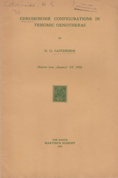 Chromosome Configuration In Trisomic Oenotheras