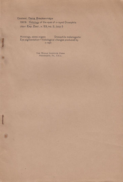 Histology Of The Eyes Of X-Rayed Drosophila