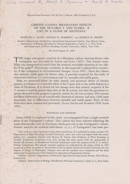 Chronic Gamma Irradiation Effects On The Mutable V And Stable R Loci In A Clone Of Nicotiana