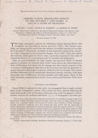 Chronic Gamma Irradiation Effects On The Mutable V And Stable R Loci In A Clone Of Nicotiana