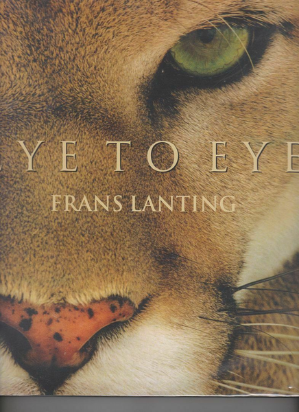 Eye to Eye