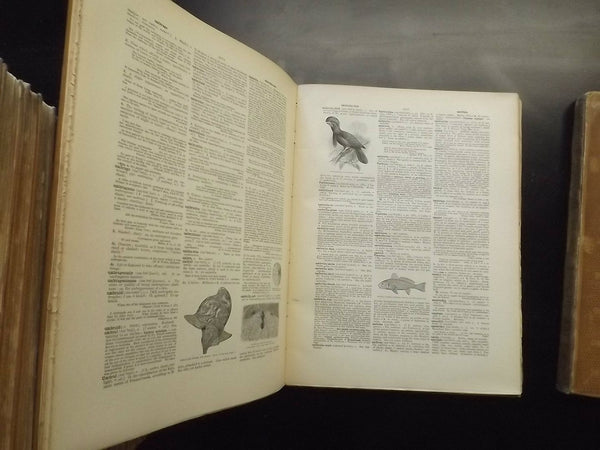 The Century dictionary: an encyclopedic lexicon of the English language