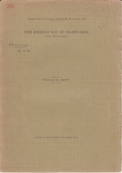 The Embryo Sac of Habenaria