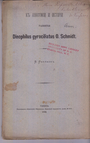 K anatomii i istorii razvitiia Dinophilus gyrociliatus, O. Schmidt