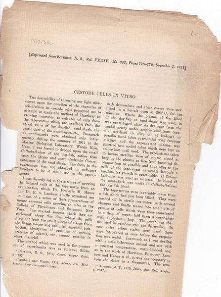 Cestode Cells in Vitro