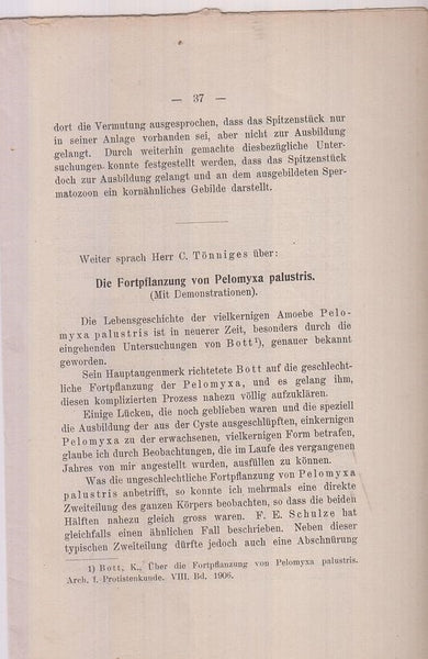 Uber Die Fortpflanzung von Pelomyxa palustris  by Bott, K.