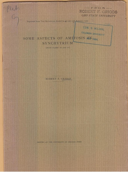 Some Aspects of Amitosis in Synchytrium  by Griggs, Robert F.