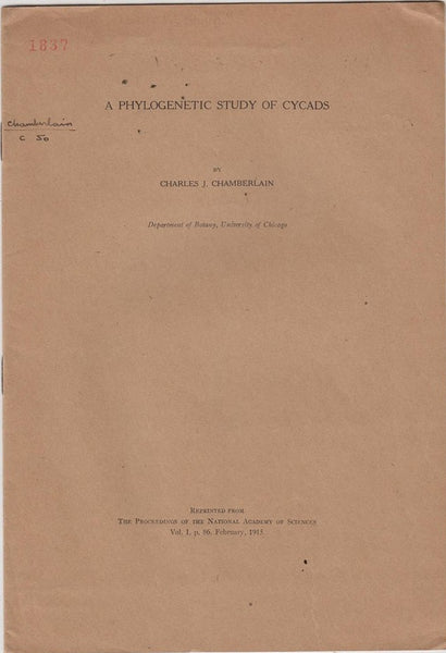 A Phylogenetic Study of Cycads