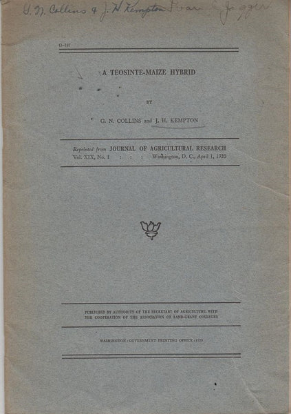 A Teosinte--Maize Hybrid