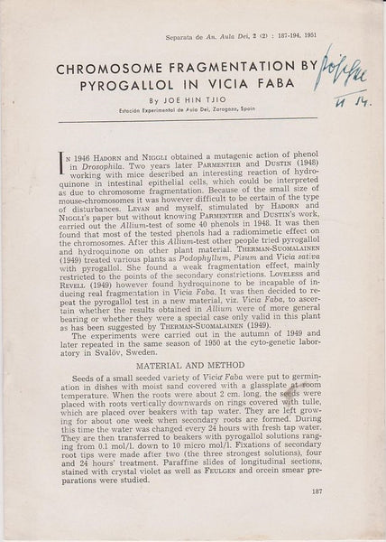 Chromosome Fragmentation by Pyrogallol in Vicia Faba