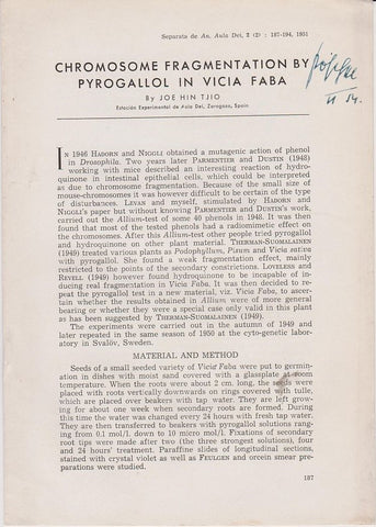 Chromosome Fragmentation by Pyrogallol in Vicia Faba
