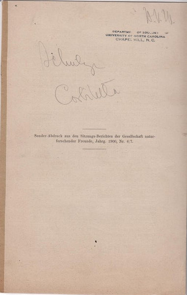 Corbitella Speciosa Qouy et Gaimard und Corbitella Corbicula Bowerbank