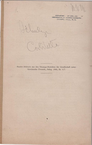 Corbitella Speciosa Qouy et Gaimard und Corbitella Corbicula Bowerbank