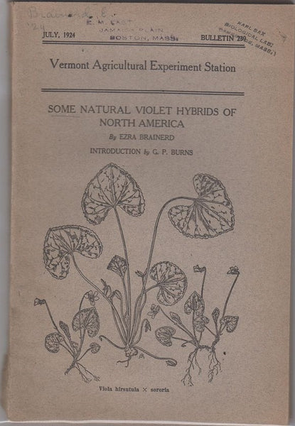 Some Natural Violet Hybrids of North America
