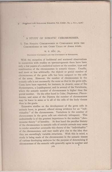 A Study of Somatic Chromosomes, I. The Somatic Chromosomes in Comparison with the Chromosomes in the Germ Cells of Anasa Tristis
