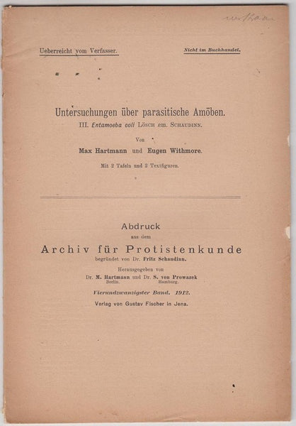 Untersuchungen uber Parasitische Amoben. III. Entamoeba coli Losch em Schaudinn
