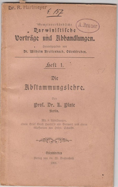 Die Abstammungslehre