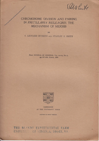 Chromosome Division and Pairing in Fritillaria Meleagris: The Mechanism of Meiosis