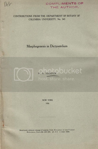 Morphogenesis in Dictyostelium  by Harper, R. A.