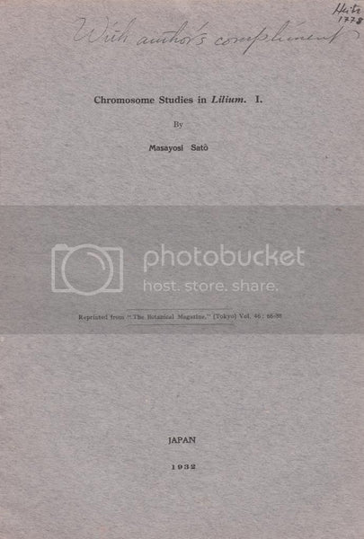 Chromosome Studies in Lilium. I.