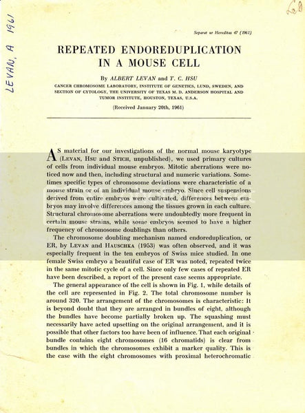 Repeated Endoreduplication In A Mouse Cell  by Hsu, T. C., and Levan, Albert