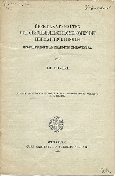 Uber Das Verhalten Der Geschlechtschromosomen Bei Hermaphroditismus. Beobachtungen An Rhabditis Nigrovenosa
