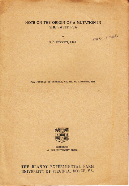Note on the Origin of a Mutation in the Sweet Pea