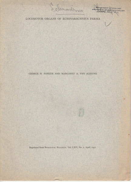 Locomotor Organs of Echinarachnius Parma