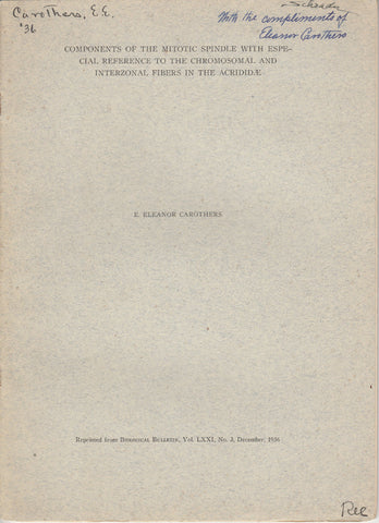 Components of the Mitotic Spindle with Especial Reference to the Chromosomal and Interzonal Fibers in the Acrididae