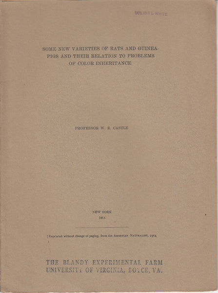 Some New Varieties of Rats and Guinea-Pigs and Their Relation to Problems of Color Inheritance