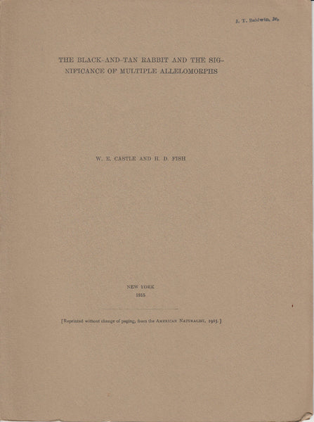 The Black-and-Tan Rabbit and the Significance of Multiple Allelomorphs