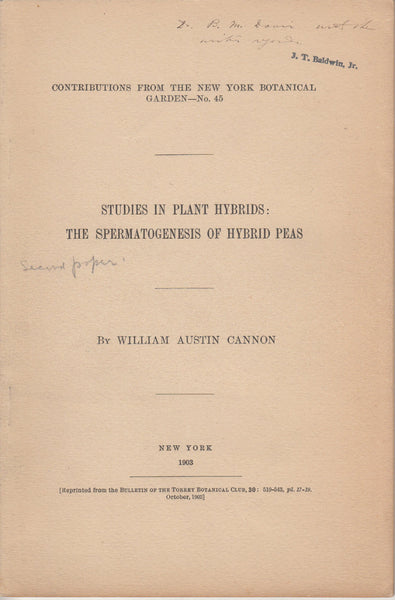 Studies in Plant Hybrids: The Spermatogenesis of Hybrid Peas