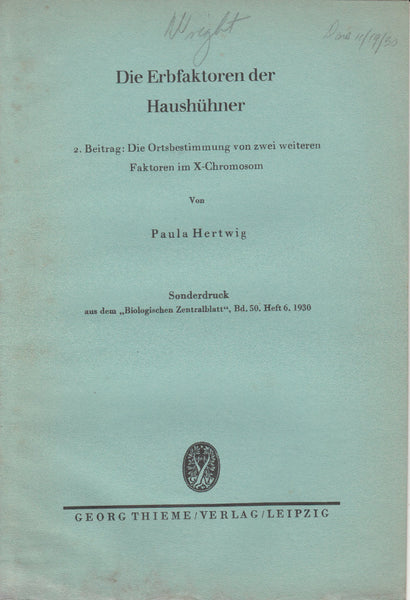 2. Beitrag: Die Ortsbestimmung von zwei weiteren Faktoren im X-Chromosom